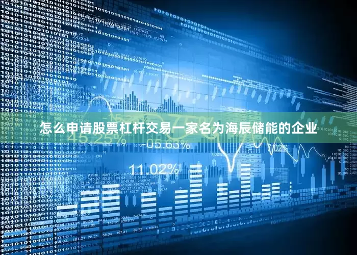怎么申请股票杠杆交易一家名为海辰储能的企业