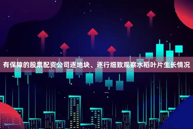 有保障的股票配资公司逐地块、逐行细致观察水稻叶片生长情况