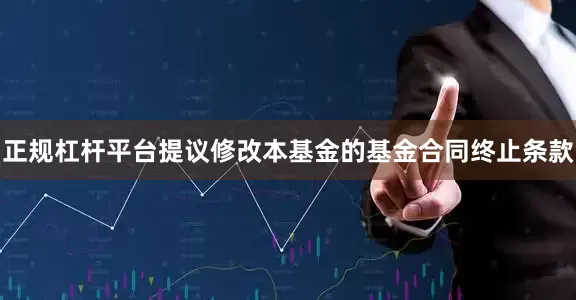 正规杠杆平台提议修改本基金的基金合同终止条款