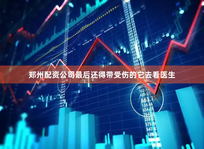 郑州配资公司最后还得带受伤的它去看医生