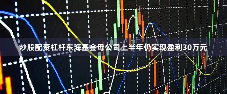 炒股配资杠杆东海基金母公司上半年仍实现盈利30万元